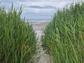 独立别墅 | 水景