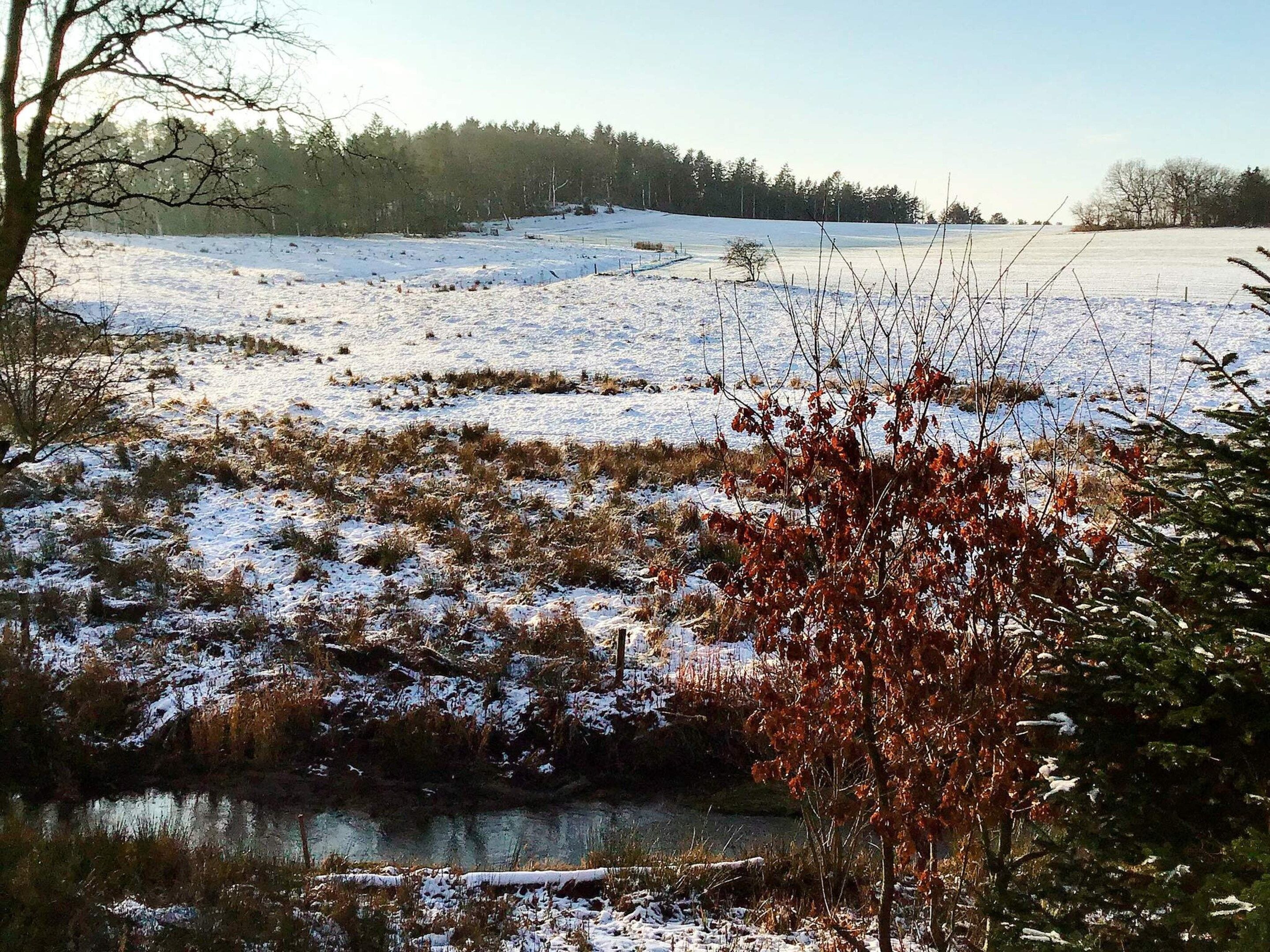 A snowy landscape with a frozen body of water, trees, and a clear sky.