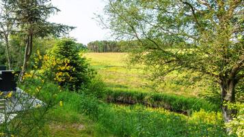 Un paysage naturel composé de diverses espèces d’arbres et d’un champ herbeux.