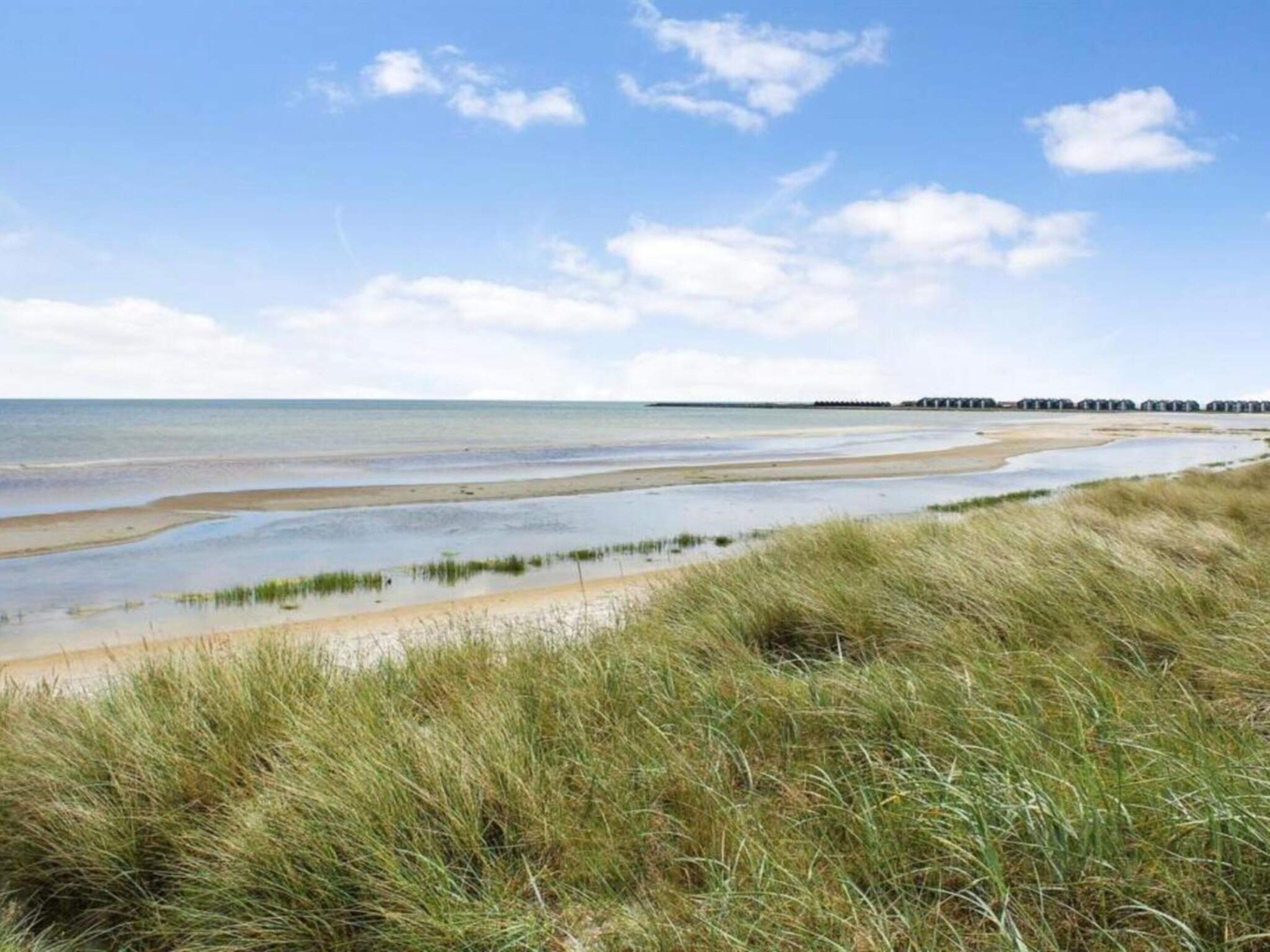Un paisaje costero con una playa arenosa, dunas cubiertas de hierba y un muelle a lo lejos.