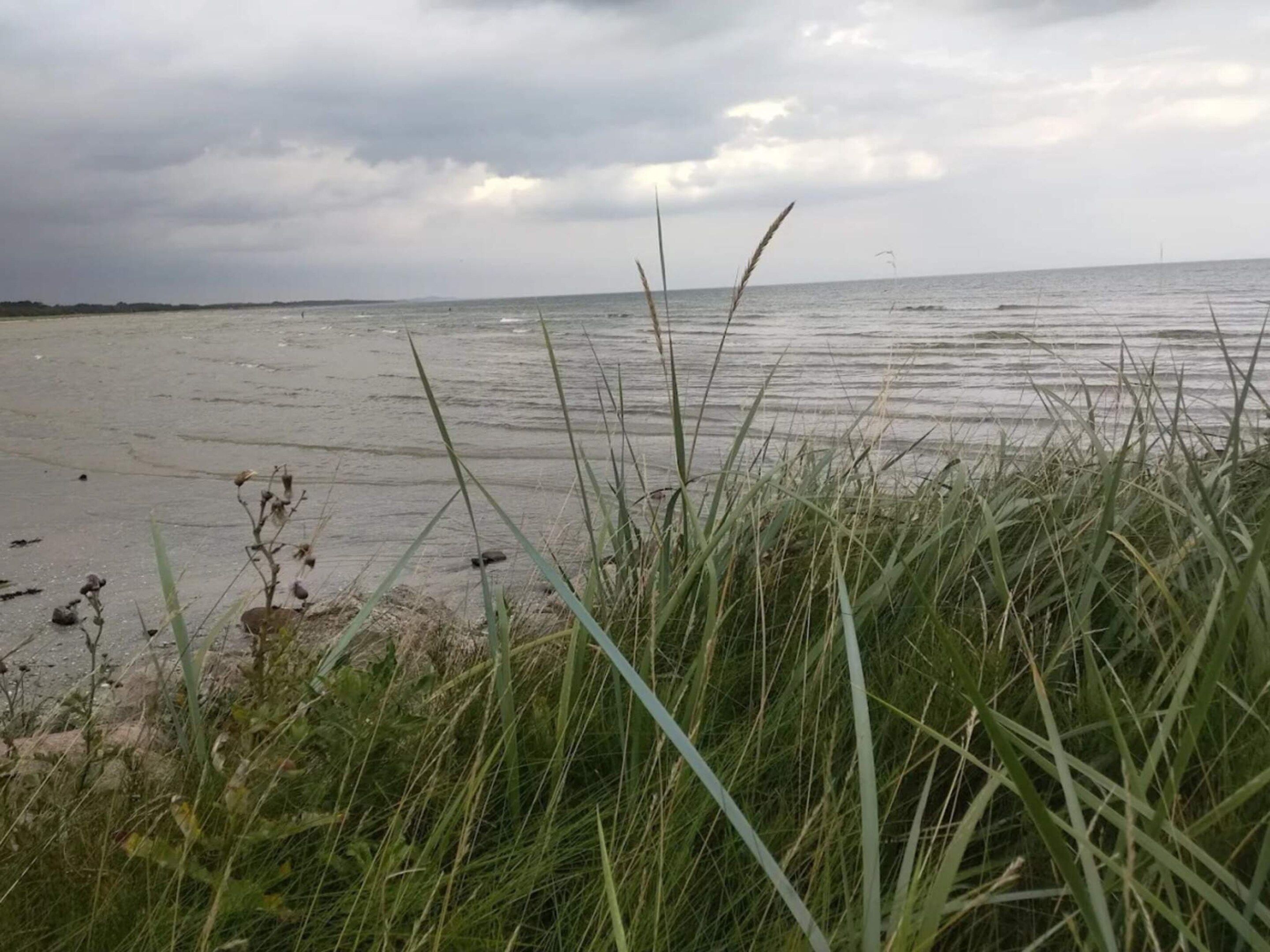 A beach with grassy dunes and a cloudy sky.