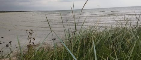 A beach with grassy dunes and a cloudy sky.