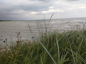 A beach with grassy dunes and a cloudy sky. - 6 Person Holiday Home in Hadsund (Hadsund)