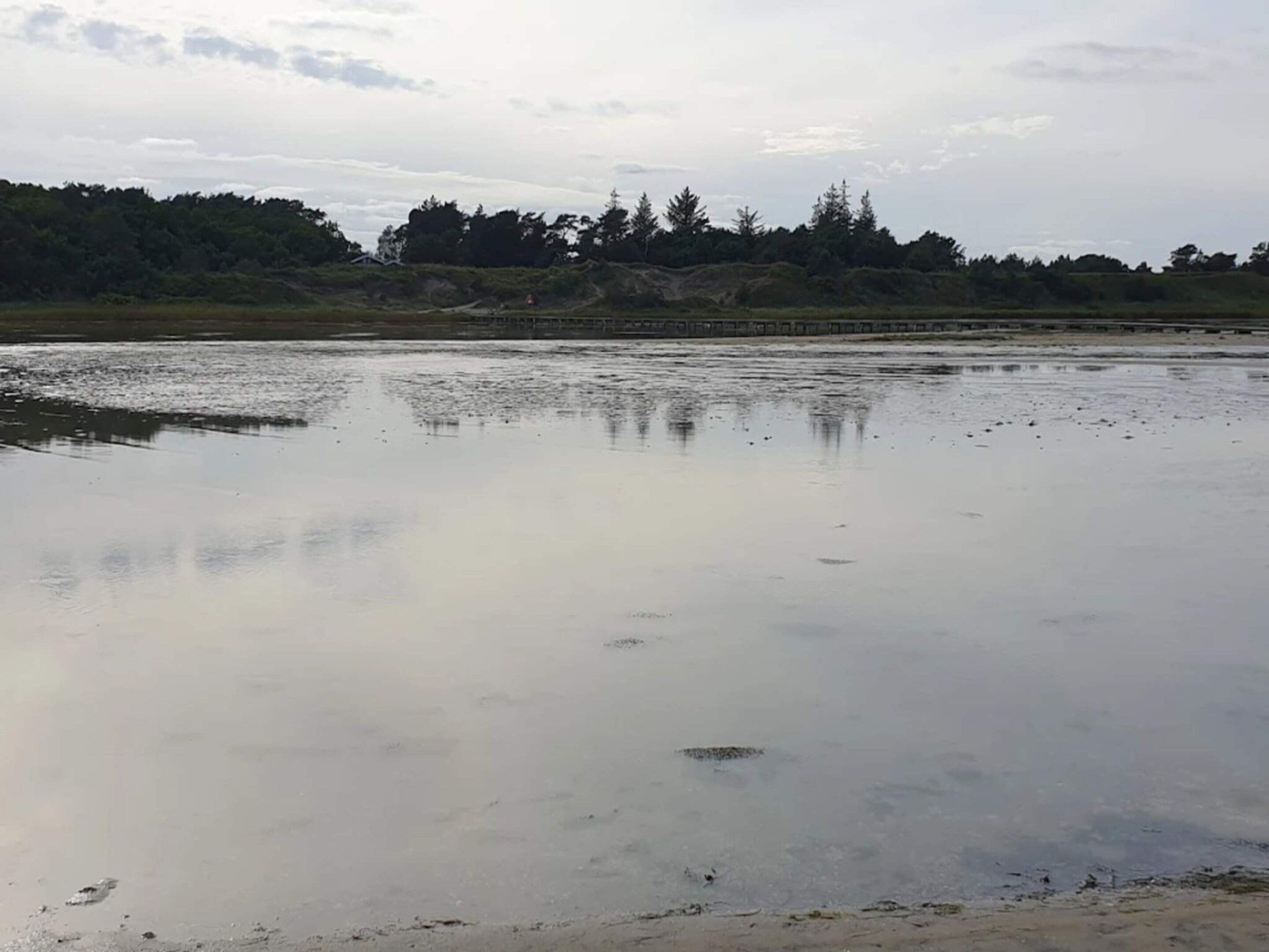 Una masa de agua tranquila con un área boscosa al fondo.