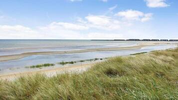 Un paisaje costero con una playa arenosa, dunas cubiertas de hierba y un muelle a lo lejos.