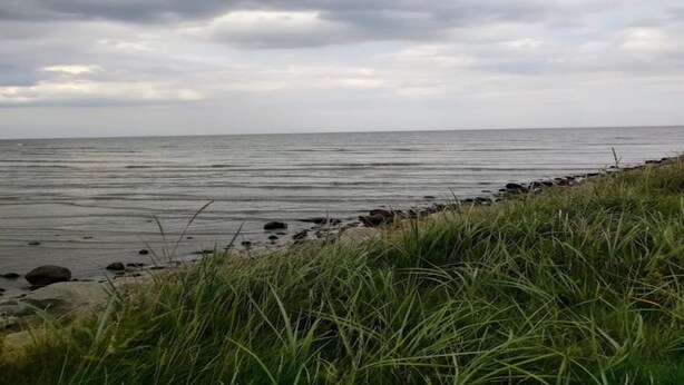 A coastal landscape with a grassy foreground and a calm sea under a cloudy sky. - 6 Person Holiday Home in Hadsund (Hadsund)