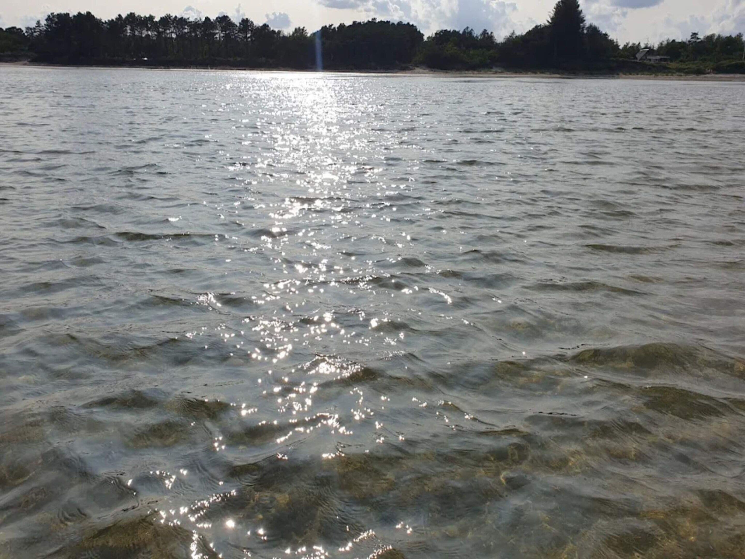 A body of water with sunlight reflecting off the surface.