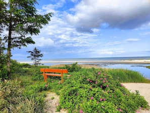 A bench in a natural setting with a view of the beach and ocean.