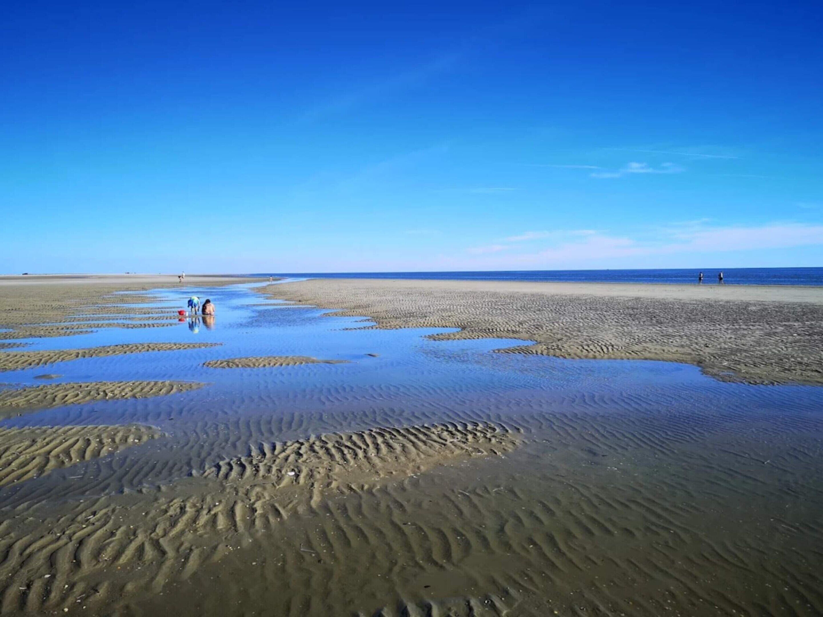 A beach with wet sand and people walking.