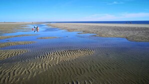 En strand med våt sand och folk som promenerar.