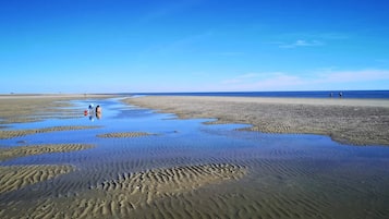 A beach with wet sand and people walking.