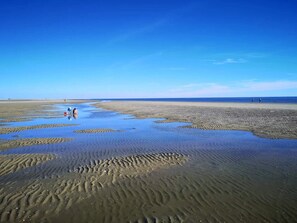 En strand med våd sand og folk der går.