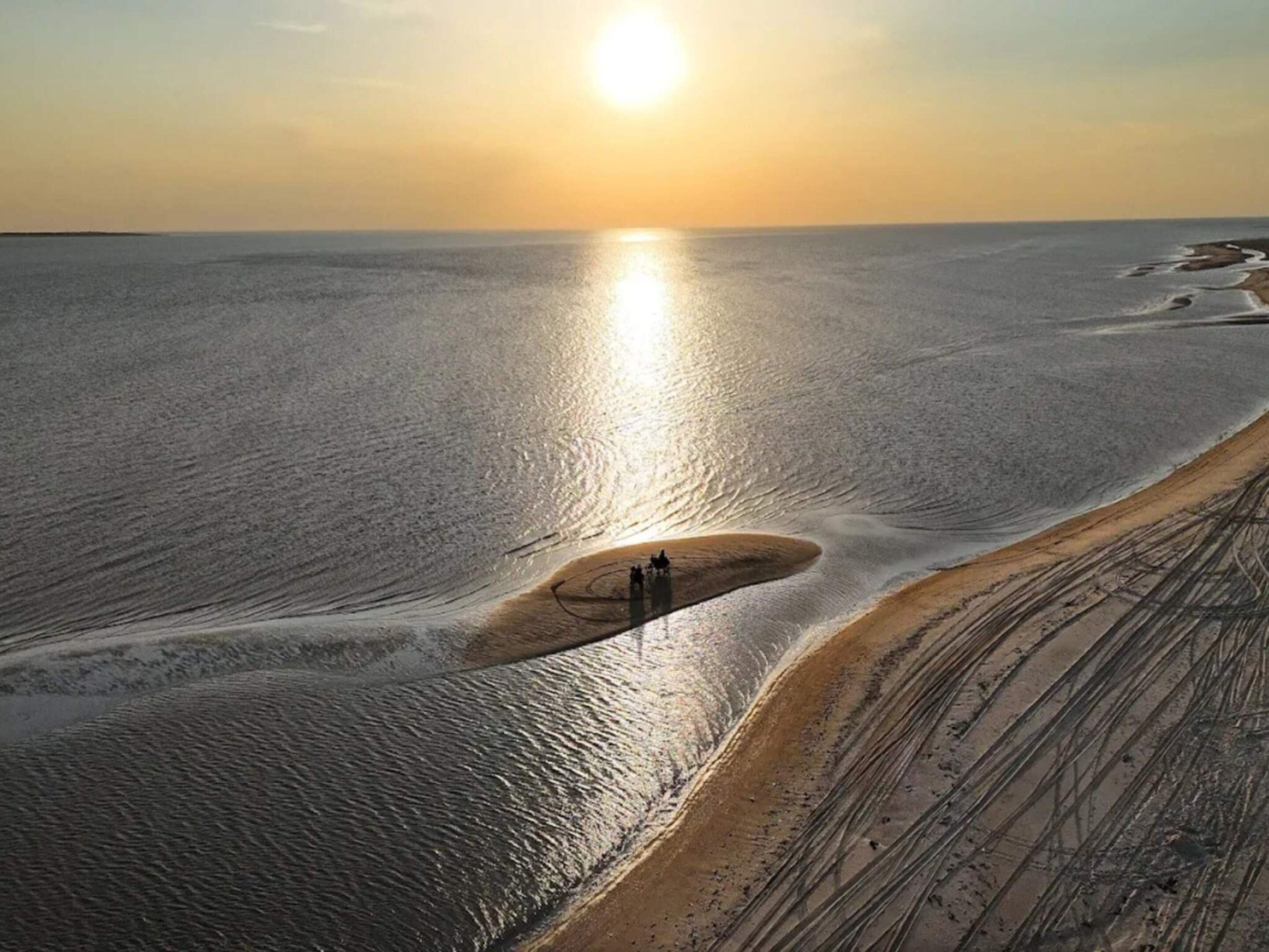 شاطئ