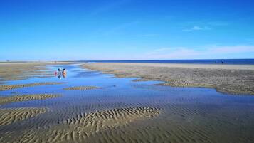 En strand med våd sand og folk der går.