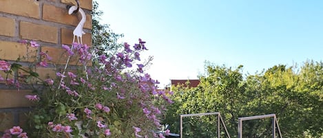 Apartment | View from property