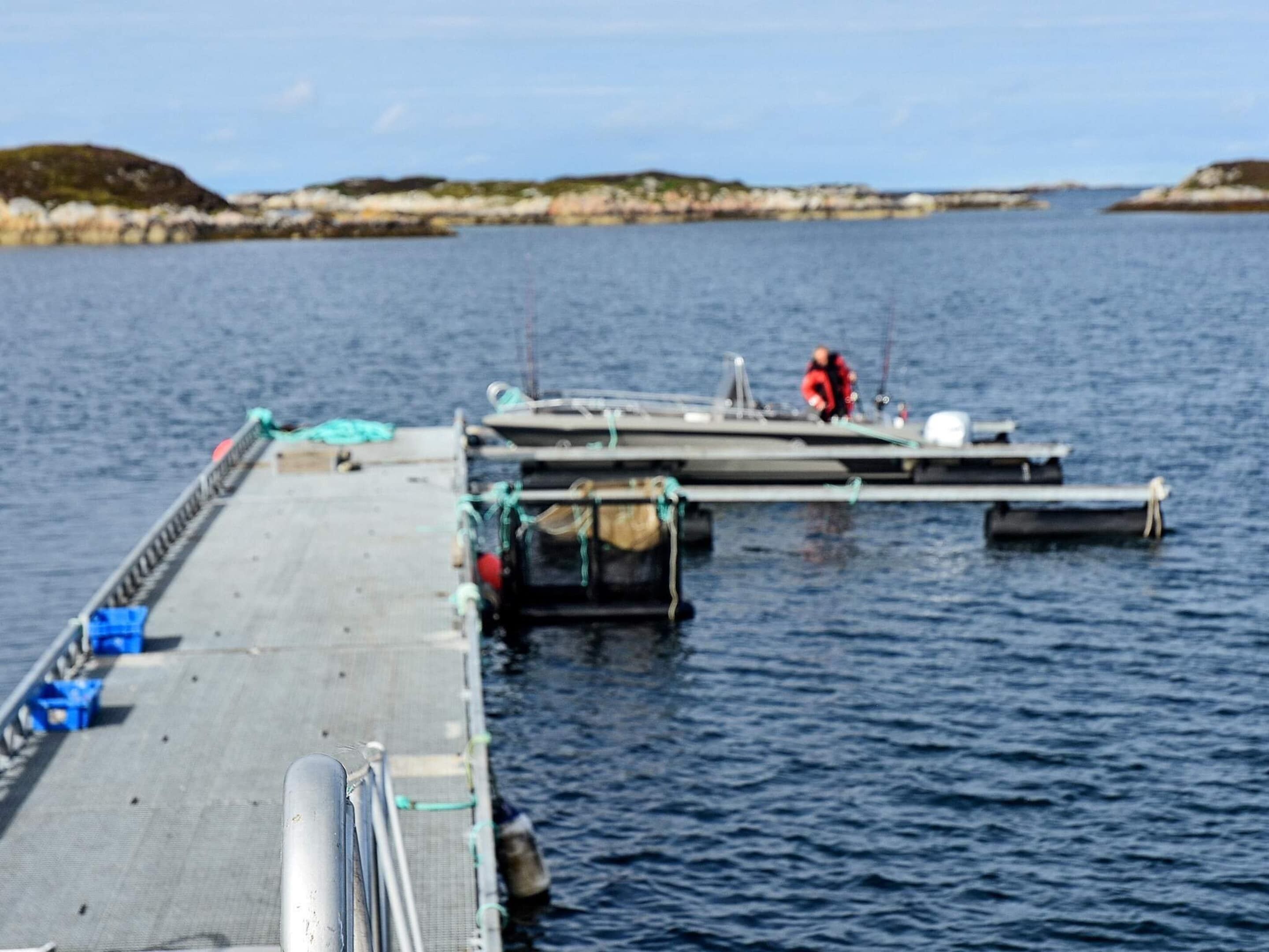 A pier extending into calm water with a person in a red jacket standing on the dock.