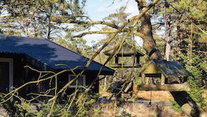 A rustic cabin with a blue roof, surrounded by dense forest and a fallen tree. - 3 Person Holiday Home in Albaek (Aalbaek)
