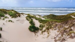 Un paysage côtier avec des dunes et l’océan.