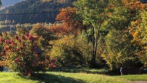 A rural landscape with a mountain in the background, a clear sky, and a person standing near a stone wall.