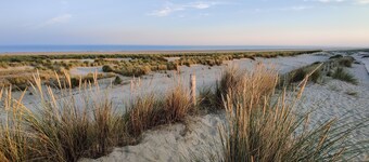 B&B Be Our Guest # Bordeaux