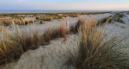 B&B Be Our Guest # Bordeaux