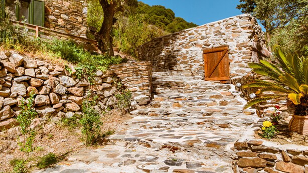 A stone pathway leading to a rustic wooden door, surrounded by greenery and a stone wall. - Ellafos Traditional Living (Kissamos)