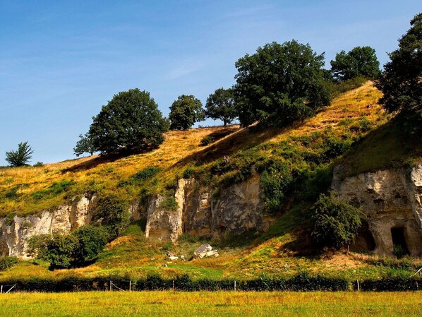 Exterior - Chalet in Ulestraten Near Maastricht (Ulestraten)