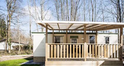 Comfy Mobile Home on Molecaten Park 't Hout in Bakkeveen