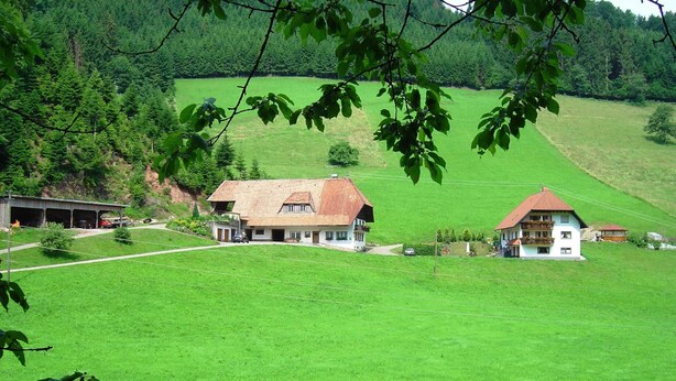 A rural landscape with two houses on a green field, surrounded by trees and a forest. - Black Forest Farmhouse in Charming Location (Hofstetten)