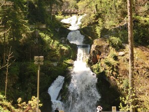 View from property - Black Forest Farmhouse in Charming Location (Hofstetten)