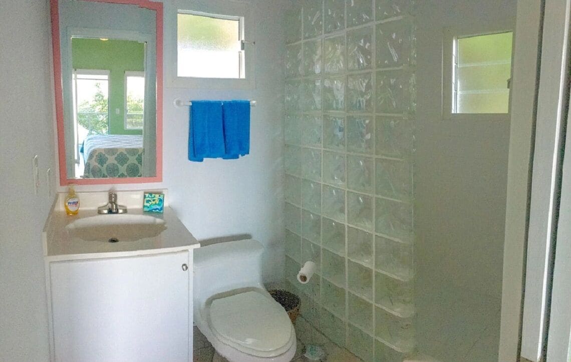 A bathroom with a white sink, a toilet, and a shower with frosted glass panels.