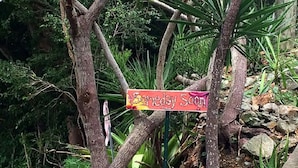 A sign with the text "Friday Soon" in a garden setting with trees and plants. - "Someday Soon" Has Arrived! (St John)