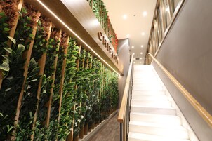 Couples treatment rooms, Turkish bath, body treatments, aromatherapy