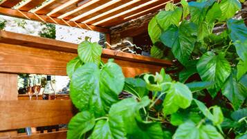 Una pérgola de fusta amb un abundant verdor i una ampolla de vi amb tasses sobre l'estructura.
