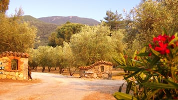 Parco della struttura