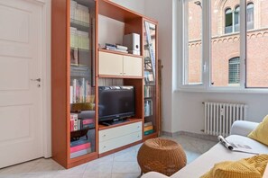 Flat-screen TV