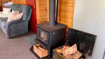 Smart TV, fireplace, books