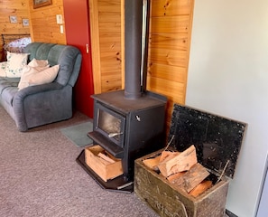 TV connectée, cheminée, livres