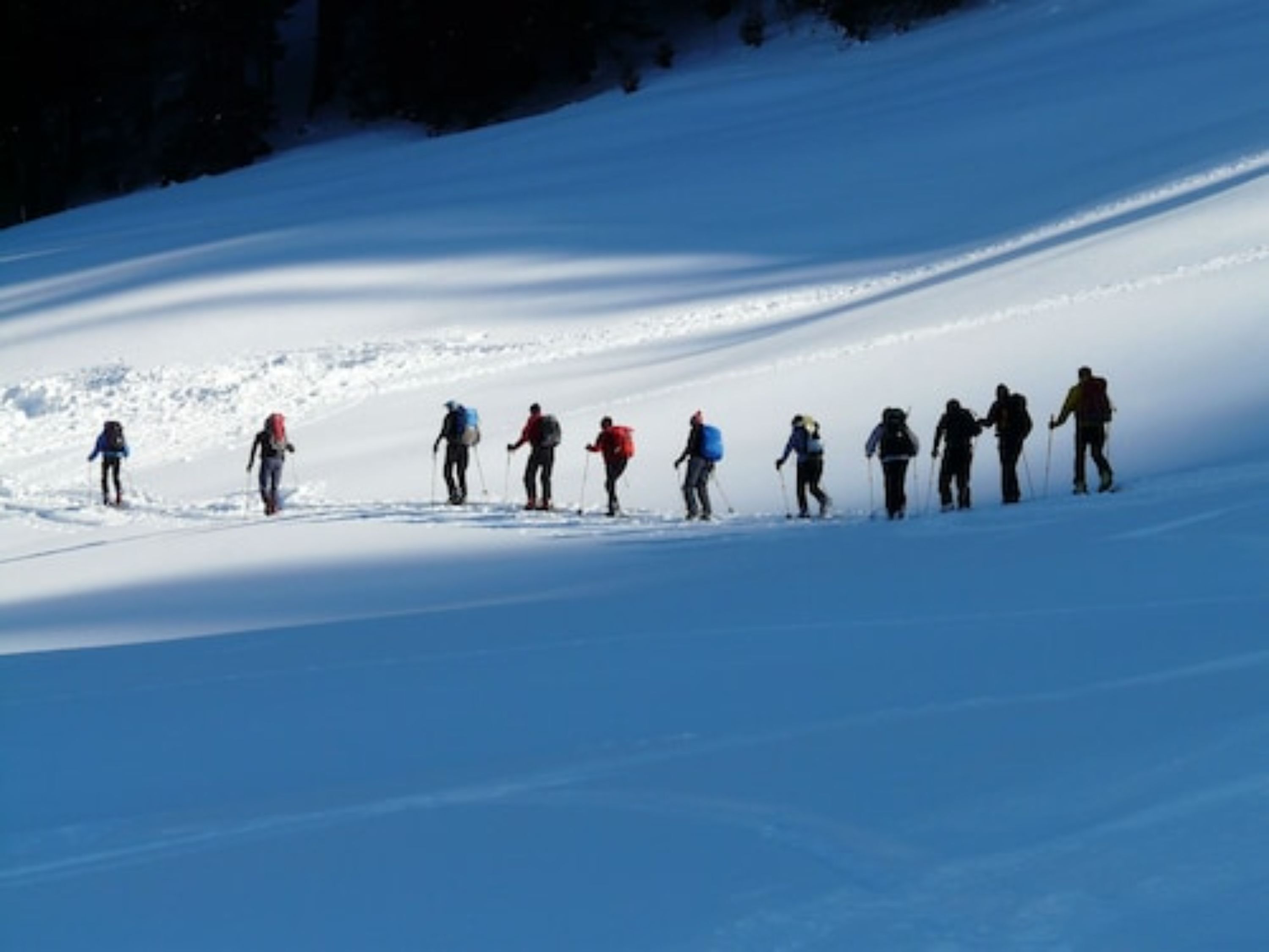 Un groupe de personnes fait du ski de fond sur une pente enneigée.