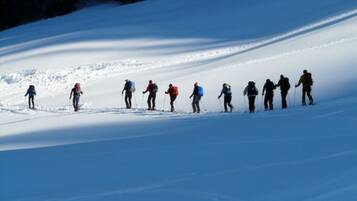 Un groupe de personnes fait du ski de fond sur une pente enneigée.