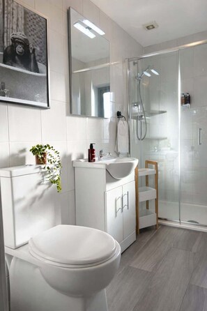 Dusche, Haartrockner, Shampoo