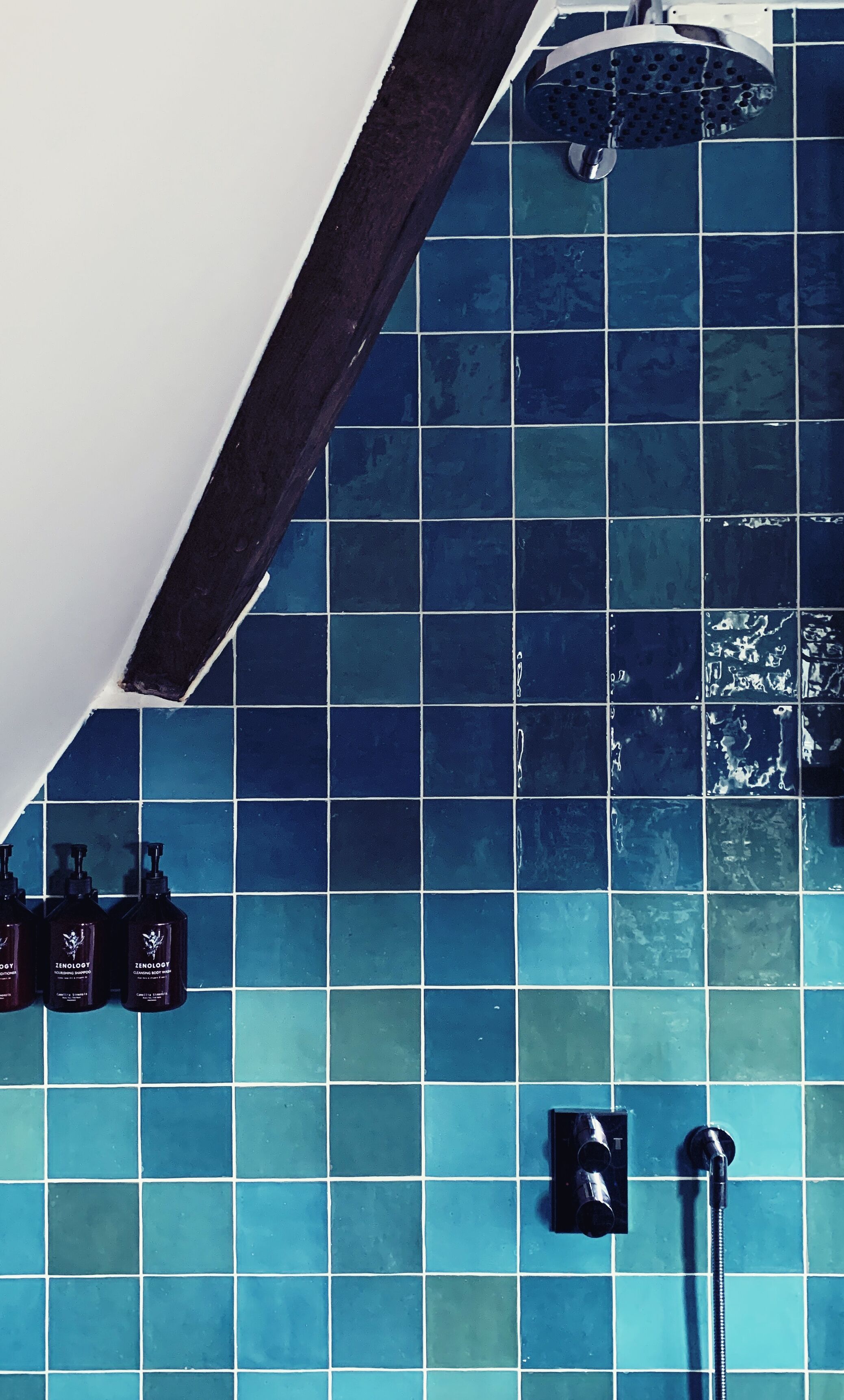 A bathroom with blue tiles, a showerhead, and three bottles of shampoo.