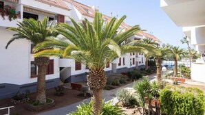 Un patio con palmeras, un edificio blanco con marcos de ventana rojos y un techo de tejas.