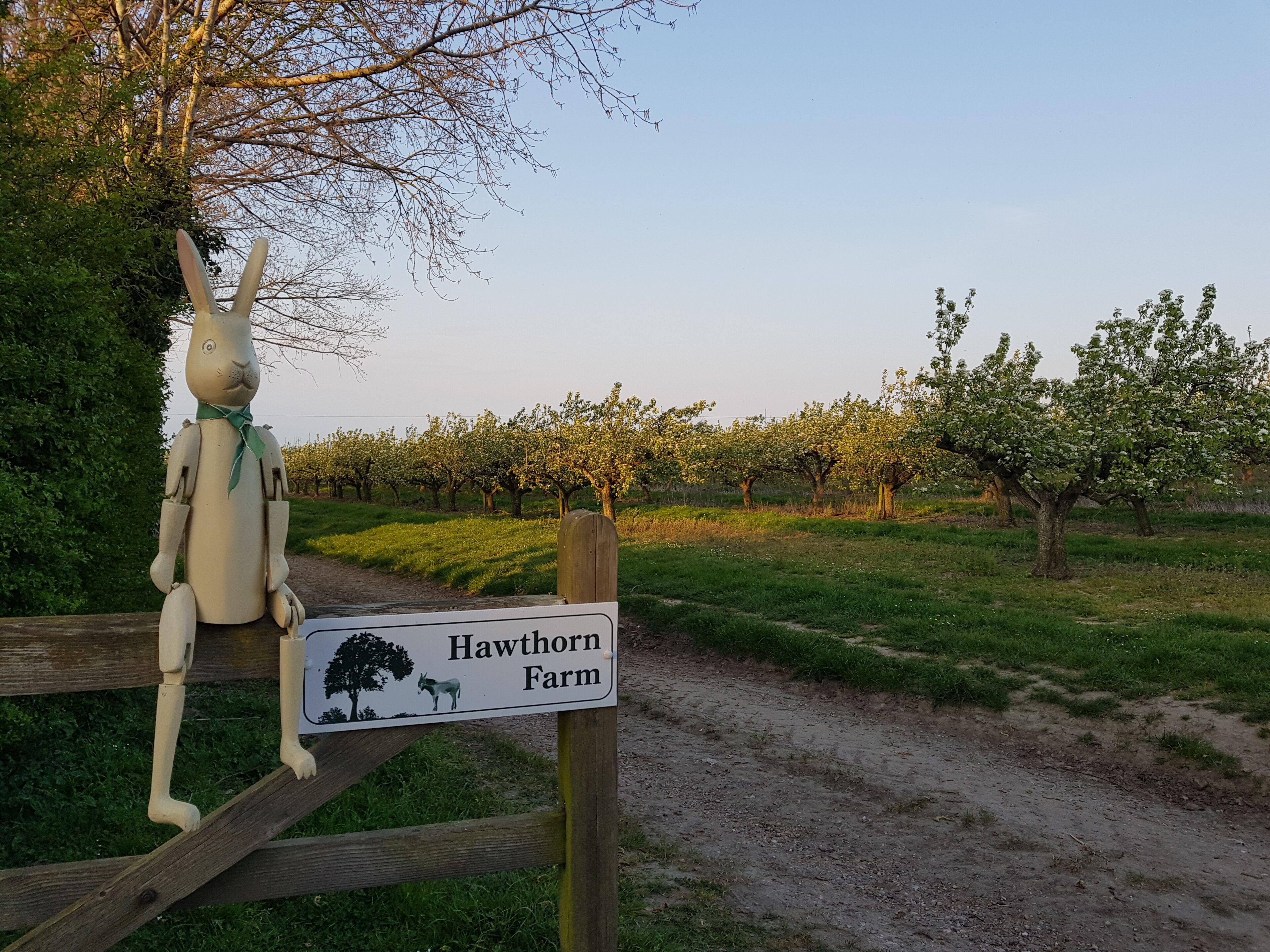 A wooden sign with a rabbit sculpture and a horse illustration, indicating the location as Hawthorn Farm.
