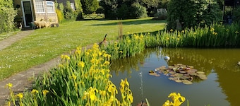 Charming 3 bedroom holiday cottage at Hawthorn Farm, Kent