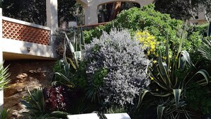 Une terrasse avec deux chaises longues blanches, un mur en pierre et diverses plantes.