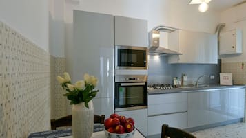 Apartamento | Cozinha privada | Geladeira grande, fogão, lava-louças