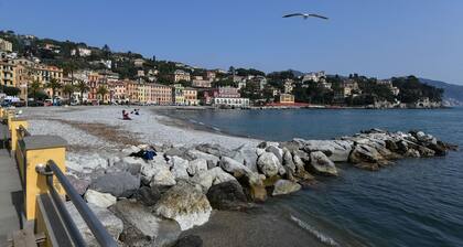 Una finestra su Villa Durazzo