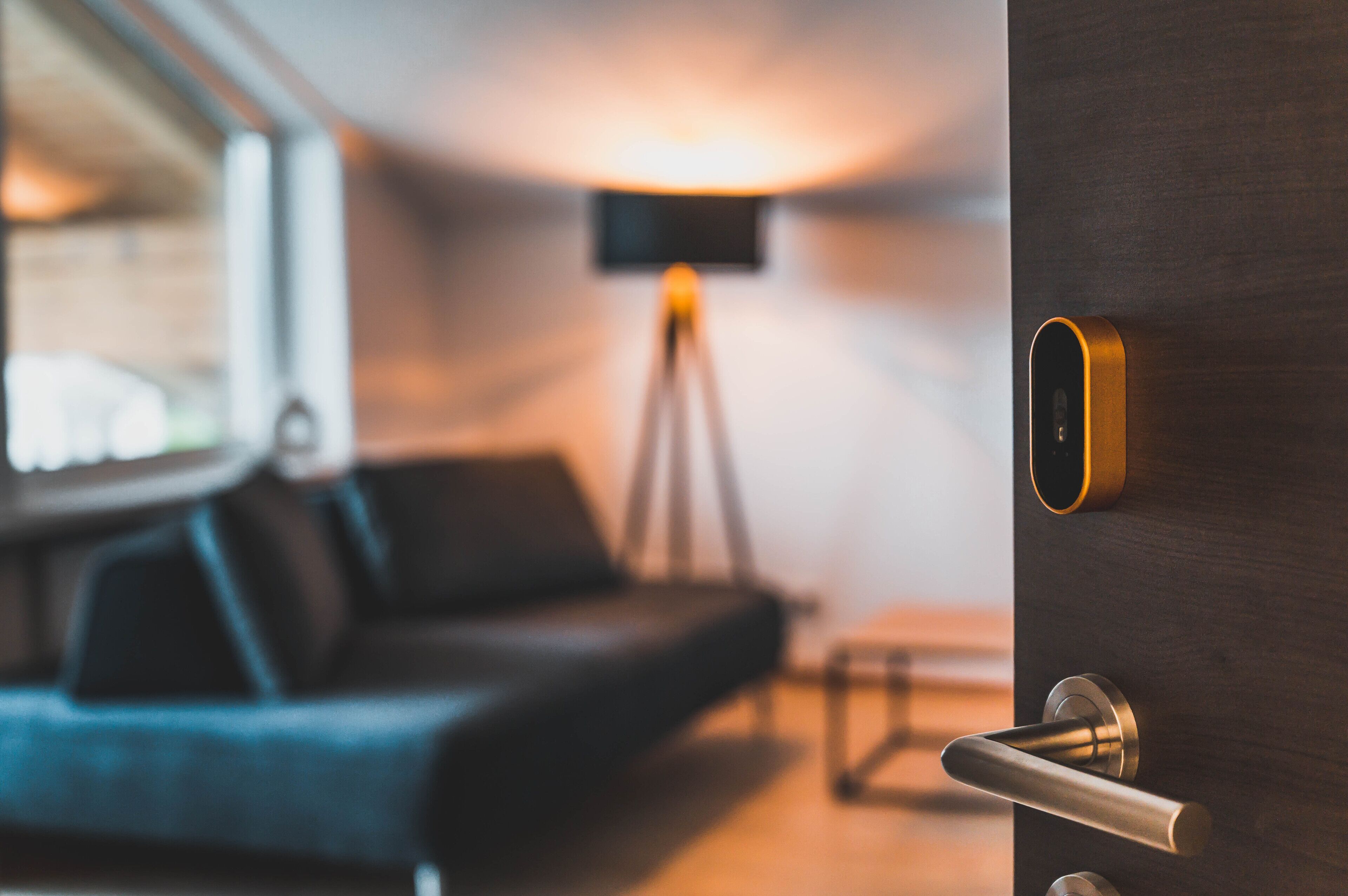 Et moderne værelse med en mørk trædør, en sort sofa og en gulvlampe.