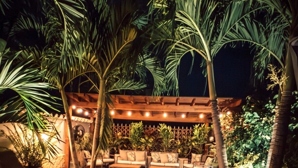 A hand holding a drink in a glass, with a patio area featuring wooden furniture and palm trees in the background.